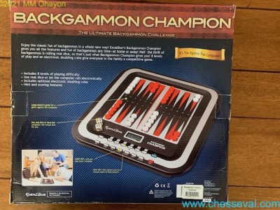 Excalibur Backgammon champion5.jpg