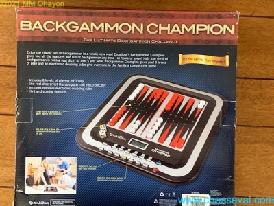 Excalibur Backgammon champion4.jpg